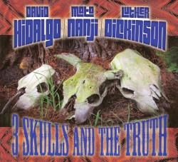 3 Skulls and the Truth by David Hidalgo ,   Mato Nanji ,   Luther Dickinson