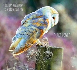 Ghost Owl by Brooks Williams  &   Aaron Catlow