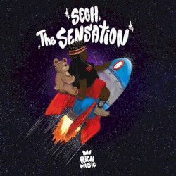 The Sensation by Sech