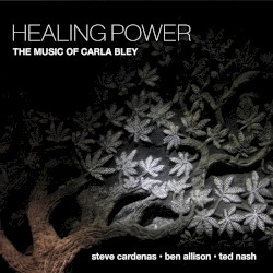 Healing Power by Ben Allison ,   Steve Cardenas  &   Ted Nash