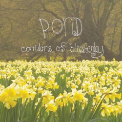 Corridors of Blissterday by Pond