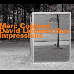 Impressions by Marc Copland