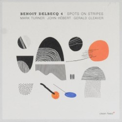 Spots on Stripes by Benoit Delbecq 4
