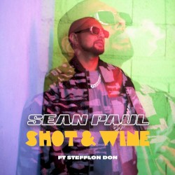 Shot & Wine by Sean Paul  &   Stefflon Don