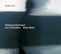 Driftwood by Wolfgang Muthspiel ,   Larry Grenadier ,   Brian Blade