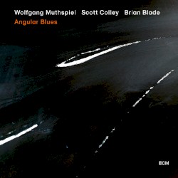 Angular Blues by Wolfgang Muthspiel ,   Scott Colley  &   Brian Blade