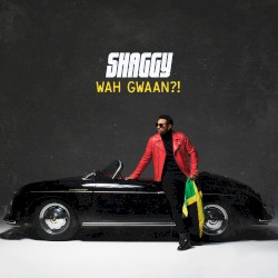 Wah Gwaan?! by Shaggy