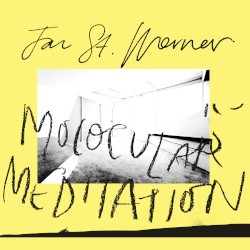 Molocular Meditation by Jan St. Werner