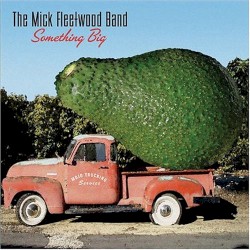 Something Big by The Mick Fleetwood Band
