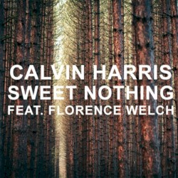 Sweet Nothing by Calvin Harris  feat.   Florence Welch
