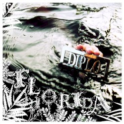 Florida by Diplo