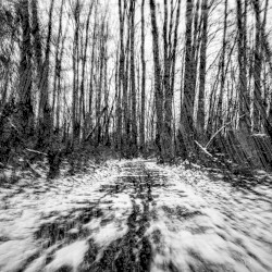 Frozen Ghosts by Daniel Menche