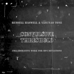 Convulsive Threshold (Collaborative Work for MP3 Deviations) by Russell Haswell  &   Yasunao Tone