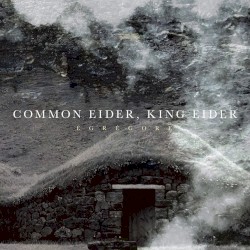 Égrégore by Common Eider, King Eider