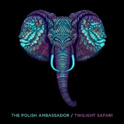 Twilight Safari by The Polish Ambassador