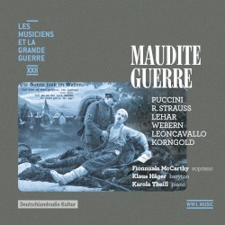 Maudite guerre (Les musiciens et la Grande Guerre, Vol. 22) by Klaus Häger ,   Fionnuala McCarthy  &   Karola Theill