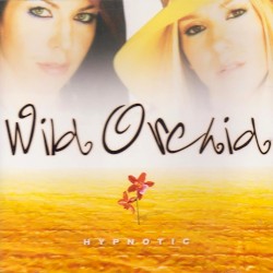 Hypnotic by Wild Orchid