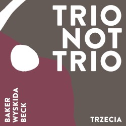 Trio Not Trio - Trzecia by Aidan Baker ,   Tim Wyskida  &   Daron Beck