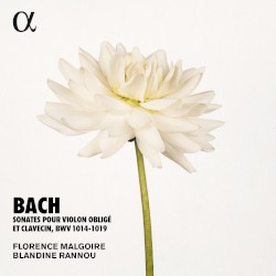 Sonates pour violon & clavecin obligé by Bach ;   Florence Malgoire ,   Blandine Rannou