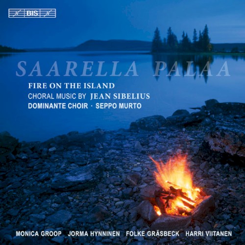 Saarella palaa (Fire on the Island)