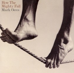 How the Mighty Fall by Mark Owen