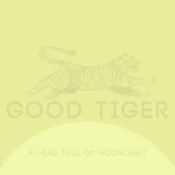 A Head Full of Moonlight by Good Tiger
