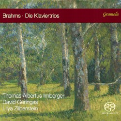 Die Klaviertrios by Brahms ;   Thomas Albertus Irnberger ,   David Geringas ,   Lilya Zilberstein