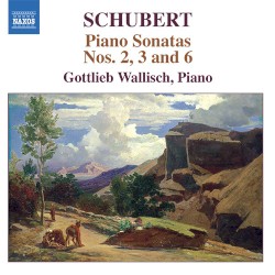 Schubert: Piano Sonatas Nos. 2, 3 and 6 by Franz Schubert ;  Gottlieb Wallisch