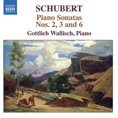 Schubert: Piano Sonatas Nos. 2, 3 and 6