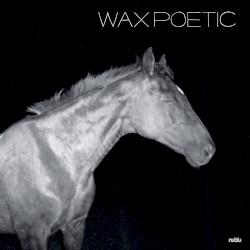 On a Ride by Wax Poetic
