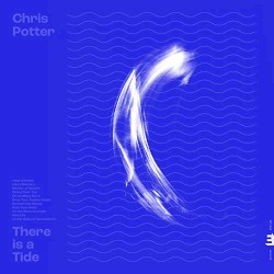 There is a Tide by Chris Potter