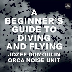 A Beginner's Guide to Diving and Flying by Jozef Dumoulin