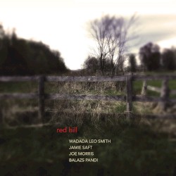 Red Hill by Wadada Leo Smith  /   Jamie Saft  /   Joe Morris  /   Balázs Pándi