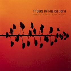 Travel of Fulica atra by Esa Pietilä Trio