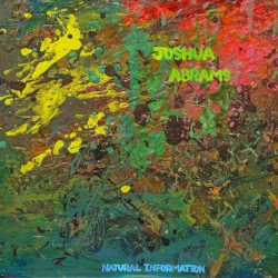 Natural Information by Joshua Abrams