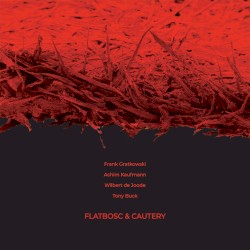 Flatbosc & Cautery by Frank Gratkowski ,   Achim Kaufmann ,   Wilbert De Joode ,   Tony Buck