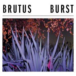 BURST by Brutus