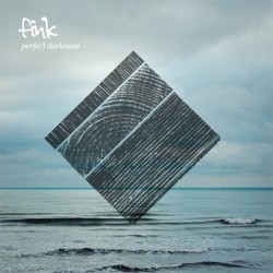 Perfect Darkness by Fink