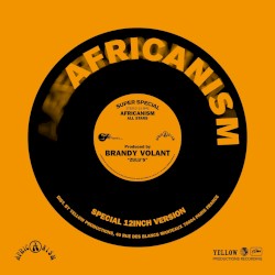 Zulu’s by Africanism  &   Brandy Volant
