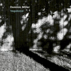 Vagabond by Dominic Miller
