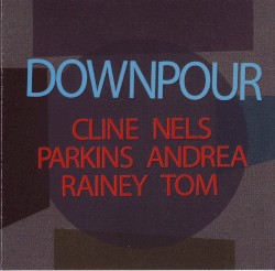 Downpour by Nels Cline  /   Andrea Parkins  /   Tom Rainey