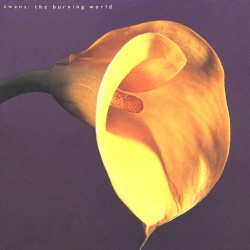 The Burning World by Swans