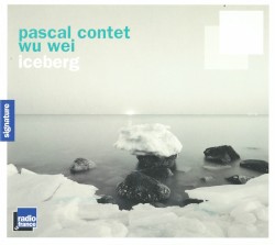 Iceberg by Pascal Contet  &   Wu Wei