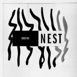 Nest by Brutus
