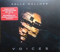 Voices by Kalle Wallner