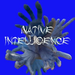 Native Intelligence by Danny Elfman  &   Trent Reznor