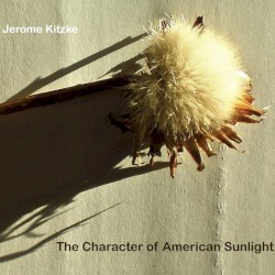 The Character of American Sunlight by Jerome Kitzke