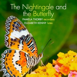 The Nightingale and the Butterfly by Pamela Thorby ,   Elizabeth Kenny