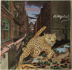 Alleycat by Nucleus