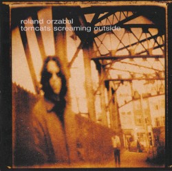 Tomcats Screaming Outside by Roland Orzabal